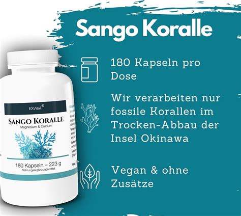 Exvital Sango Meereskoralle Kapseln Nat Rliche Quelle F R Calcium Und