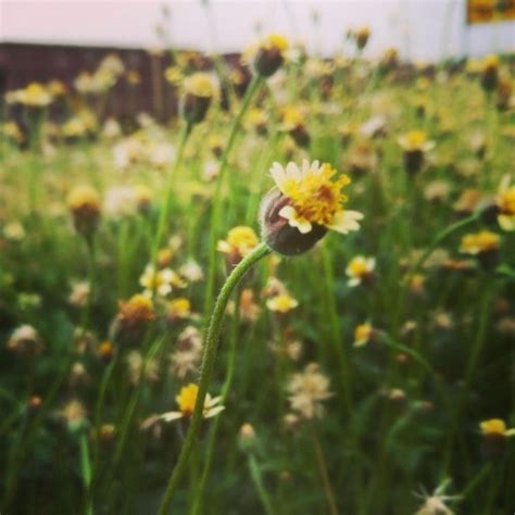 Stream Naked Frontier By Jasmine Bradley Listen Online For Free On SoundCloud