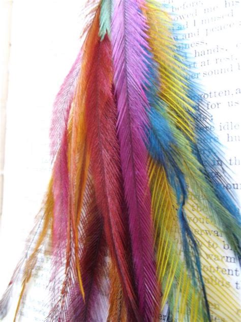 Feathers Emu Feathersrainbow Feathers Feather Dangle Etsy Feather