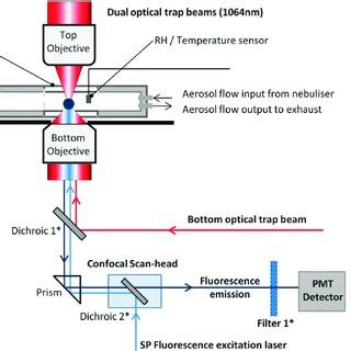 Schematic Diagram Of The Optical Trapping And FLIM Arrangement For The