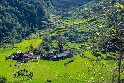 Sagada & Banaue Rice Terraces 4-Day Tour - Abraham Tours