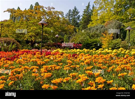 Sunken Garden, Butchart Gardens Stock Photo - Alamy