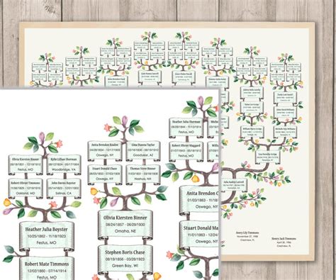 Plantilla De árbol Genealógico Para 6 Generaciones Árbol Genealógico Ramificado De Timmi