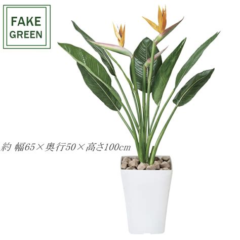 【楽天市場】フェイクグリーン 観葉植物 フェイク 人工観葉植物 光触媒 造花 インテリア リアル おしゃれ お祝い 樹 木 室内 人気 空気