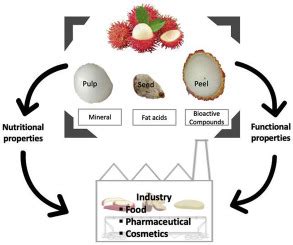 Nephelium Lappaceum L Trends In Food Science