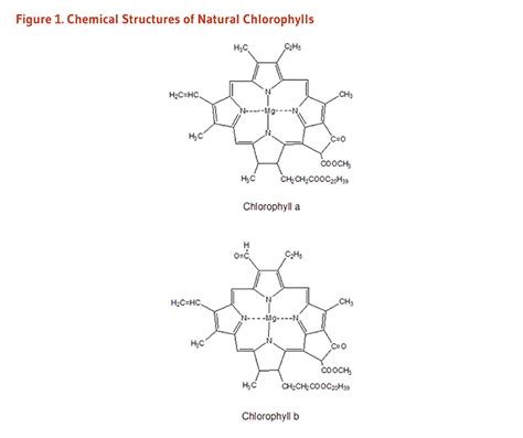 Chlorophyll And Metallo Chlorophyll Derivatives Chlorophyll Chemical