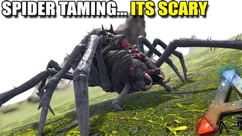 Taming A Spider Its Scary Ark Survival Evolved Ep21 Youtube