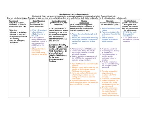 Nrsg Careplan Care Plan Nursing Care Plan For Fundamentals Must