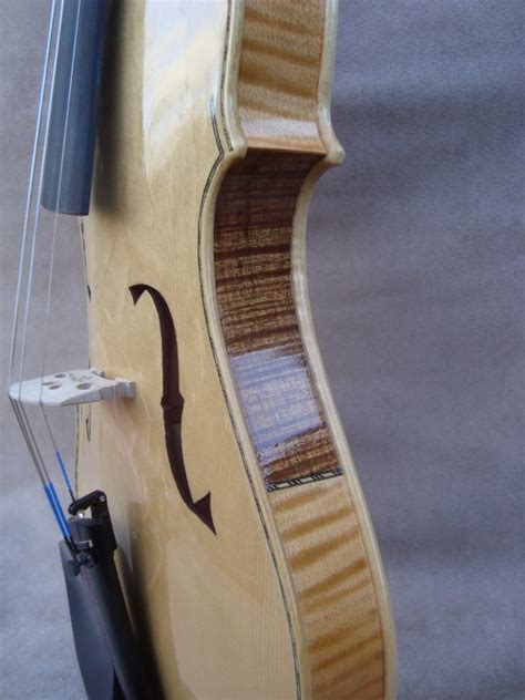 Special Asymmetric Revolin Tim Phillips Violins