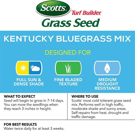 Scotts Turf Builder Kentucky Bluegrass Mix Grass Seed 7 Lbs Wgl 03