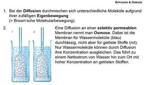 Säure Basen Haushalt Flashcards Quizlet