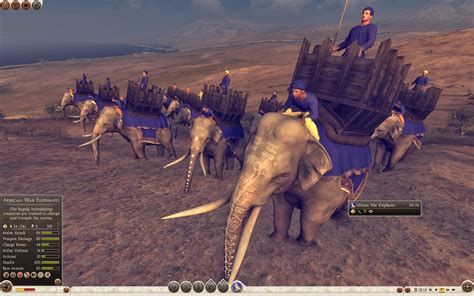 African War Elephants Egypt Total War Rome II Royal Military Academy