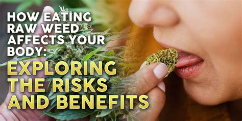 How Eating Raw Weed Affects Your Body: Exploring the Risks and Benefits ...