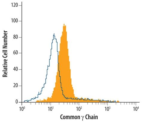 Mouse Common Gamma Chain Il R Gamma Antibody R D Systems Ug