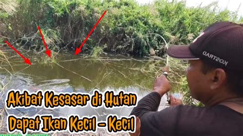 Kesasar Di Hutan Mencari Spot Mancing Nila Mancing Liar Papua Youtube