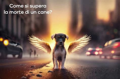 Come Si Supera La Morte Di Un Cane Quando Il Dolore Non Passa Khani It