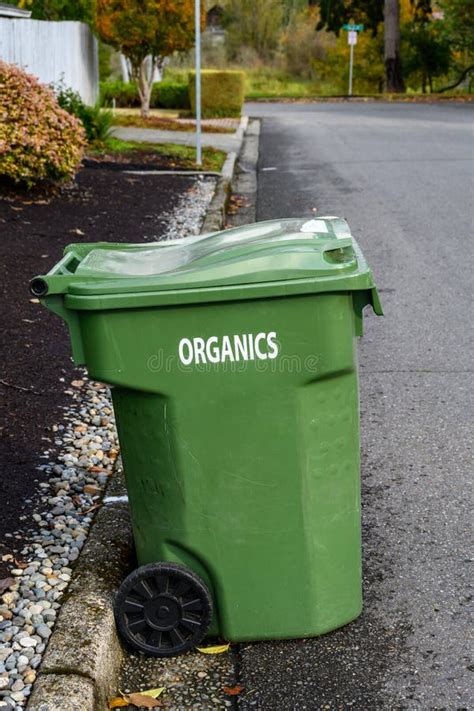 Garbage Day Large Plastic Green Yard Waste Bin Sitting Out At The Curb