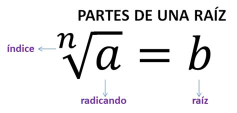 Las 7 Propiedades De Las Raíces O Propiedades De La Radicacion