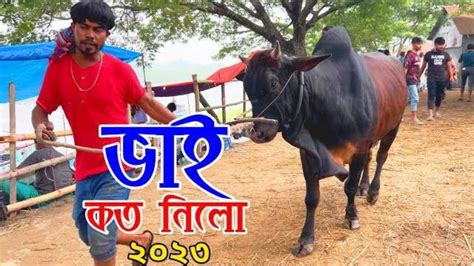 Bhai Koto Nilo Paragram Hozrotpur Gorur Haat 2023 Part 12 Cow