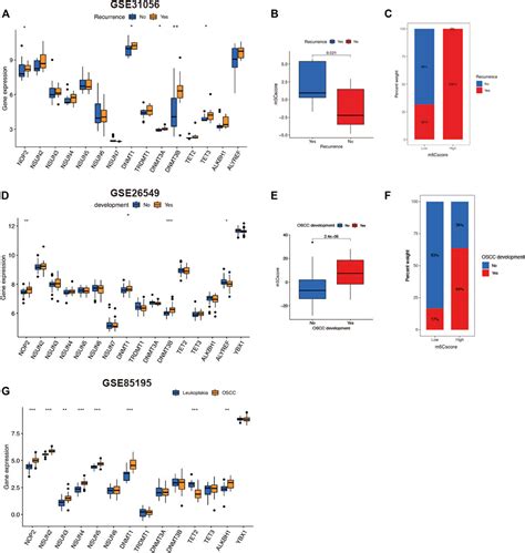 Frontiers The RNA Methylation Modification 5 Methylcytosine Impacts