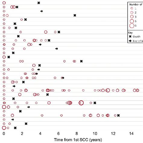 Temporal Occurrence Of Squamous Cell Carcinomas SCCs In Each Patient