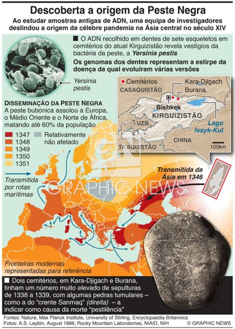 CIÊNCIA Descobeta origem da Peste Negra infographic