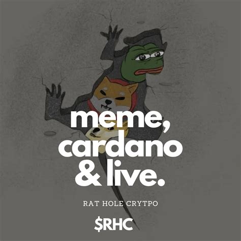 New Cardano meme coin "the famous rat hole meme" organic growth only no ...