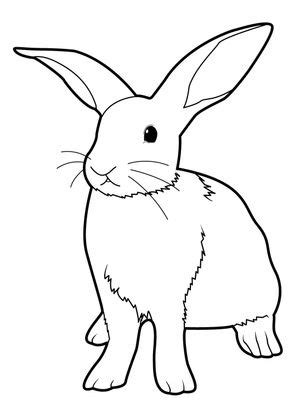 Coloriage Lapin 3 Coloriage Lapins Coloriages Animaux