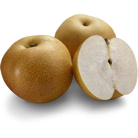 Fresh Brown Nashi Pear Each | Woolworths