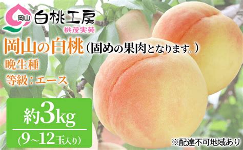 【楽天市場】【ふるさと納税】固めの 桃 2024年 先行予約 白桃 晩生種 3kg 9～12玉 もも モモ 岡山 国産 フルーツ 果物 ギフト