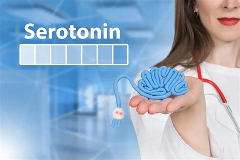 Serotonina Por Qu La Necesita Y C Mo Aumentar Sus Niveles De Forma