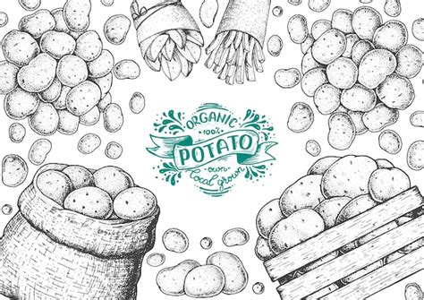 Premium Vector Potato Vector Illustration Box And Bag Of Potatoes