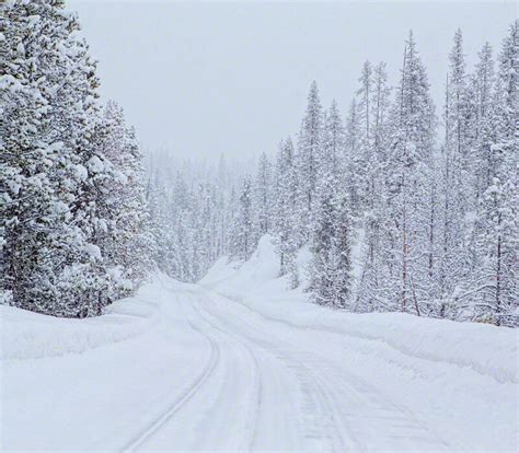 Snowy Drive In The Mountains Buddy Hawkins