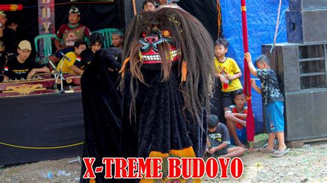 Barongan Extreme Budoyo Live Bong Cino Youtube