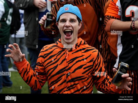 Bengals stadium hi-res stock photography and images - Alamy