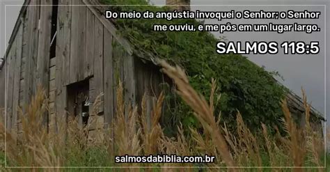 Salmo 118 5 Do meio da angústia invoquei o Senhor Salmos da Bíblia