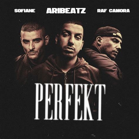 Aribeatz Raf Camora Perfekt Lyrics Genius Lyrics