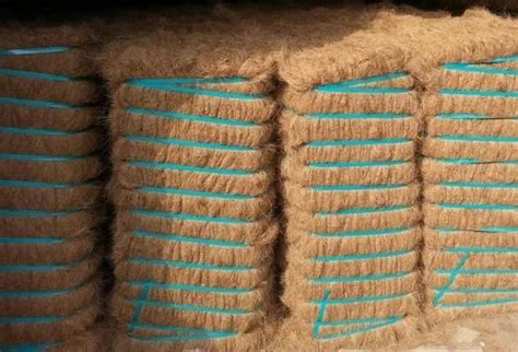 Brown Coconut Coir Fibre Feet Packaging Size Kg At Rs Kg In