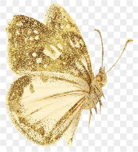 Butterfly Gold Free Illustrations Free Png Spark Glitter Stickers