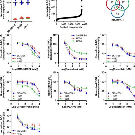 A High Throughput Screen Identifies Small Molecule Inhibitors Of Download Scientific Diagram