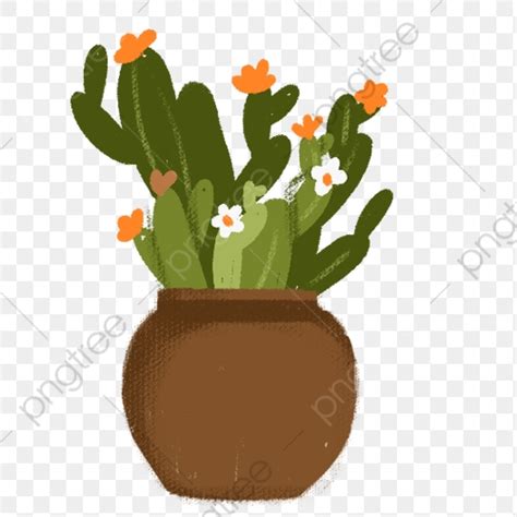 Potted Cactus Clipart Vector Hand Drawn Cartoon Flowering Cactus