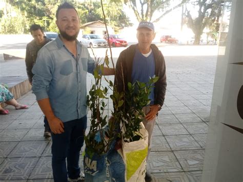 Secretaria De Agricultura Realiza Entrega De Mudas Frut Feras