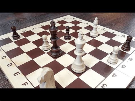 Шахматный этюд братьев Платовых | Шахматы для начинающих - YouTube