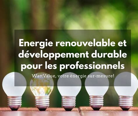 Energie renouvelable et développement durable pour les professionnels