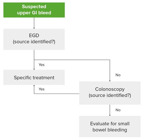 Gastrointestinal Bleeding | Concise Medical Knowledge