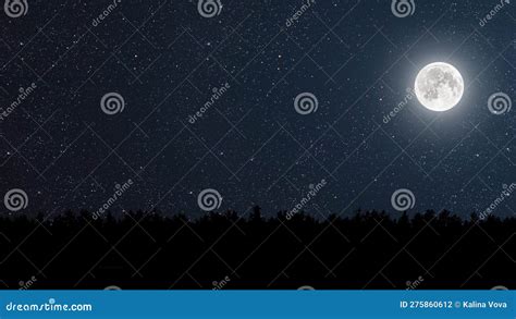 Night Sky in the Forest with Stars and Moon Stock Photo - Image of ...