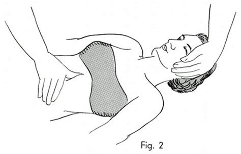 Polarity Therapy Volume Book Chart