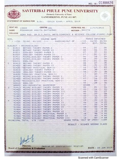 Bsc Marksheet Pdf