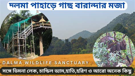 Dalma Wildlife Sanctuary Top Dimna Lake Jamshedpur Top Tourist