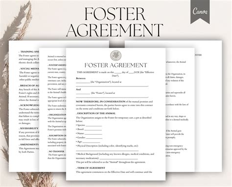 Volunteers are sharing their best stories from animal foster care near me 3